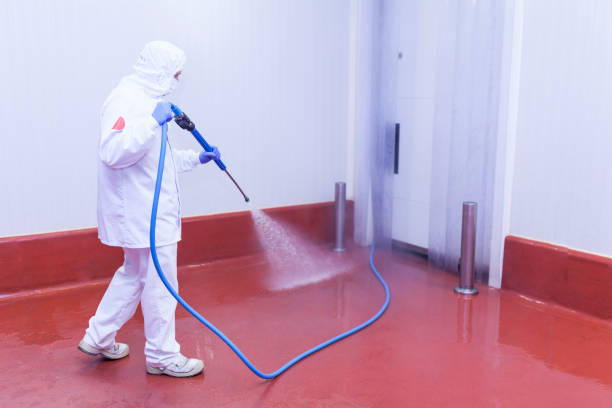 Best Dumpster Area Cleaning  in Galesville, WI