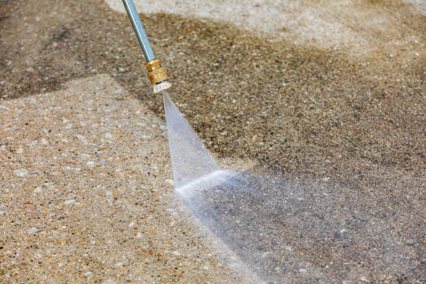 Best Animal Enclosure Cleaning  in Galesville, WI