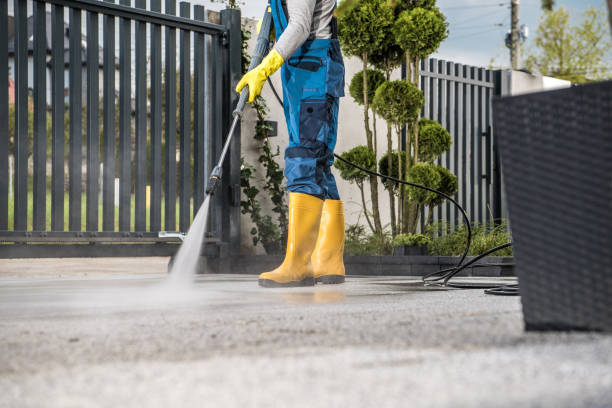 Best Sidewalk and Walkway Cleaning  in Galesville, WI